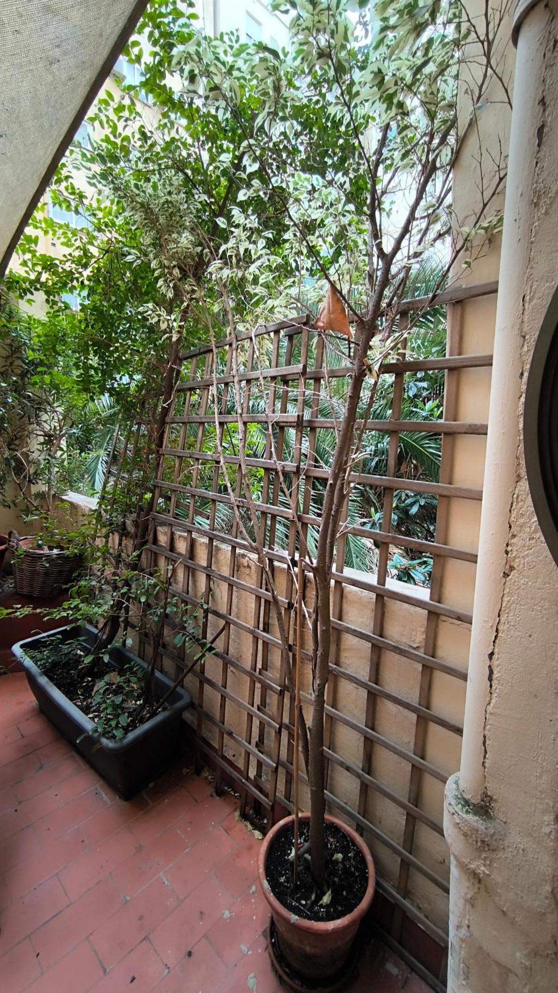 7 Moons B&B Valencia Exteriör bild